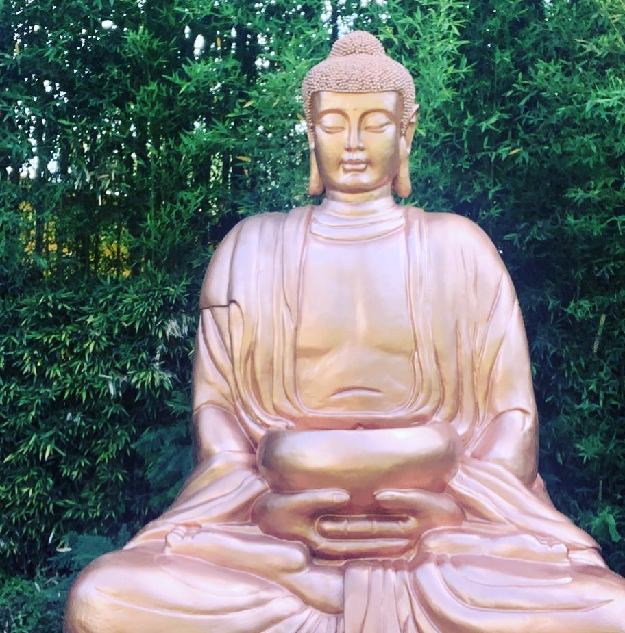 475021913 8920423158077307 9201784095382968009 N